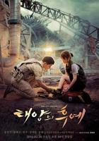 《太阳的后裔》全集完整版-免费高清电视剧在线观看
